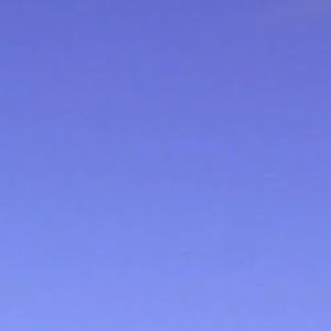 Meet your Posher, Jaelin